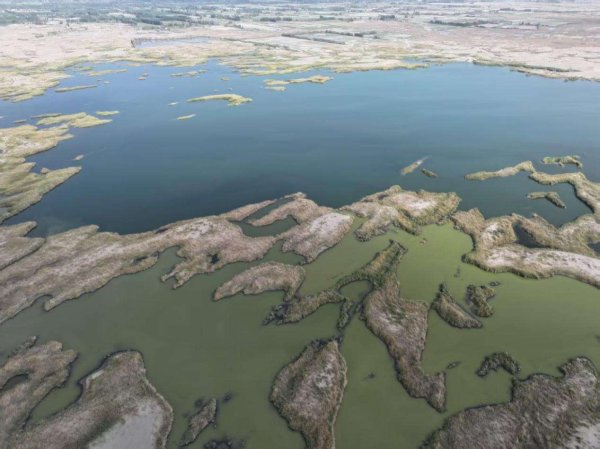 诚信双盈配资 新疆阿瓦提：艾希曼湿地里的“绿色传奇”
