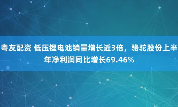 粤友配资 低压锂电池销量增长近3倍，骆驼股份上半年净利润同比增长69.46%