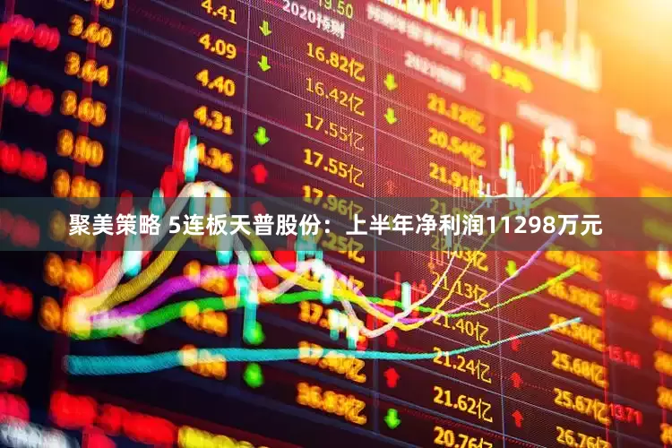 聚美策略 5连板天普股份：上半年净利润11298万元